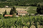 Tuscany Farmhouse Accommodation