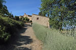 Tuscany Farmhouse Accommodation